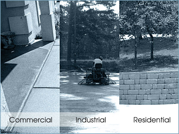 The Services We Provide